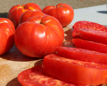Beefmaster Hybrid Tomato Seeds